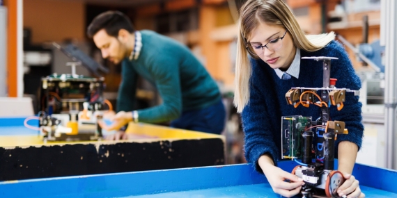 Faydalarını bilseniz evinizden eksik etmezsiniz! Bu otu hala kimse bilmiyor…