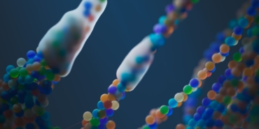 Teksas A&M Üniversitesi'nden DNA'nın kökenleri hakkında yeni keşif